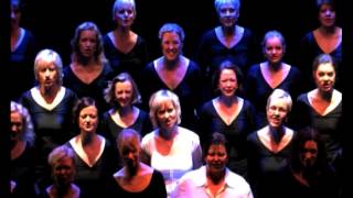 Black Hole Sun Soundgarden cover – Stockholm City Voices [upl. by Tiat724]