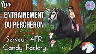 🔴 LIVE SSO  ENTRAINEMENT DU PERCHERON  💗 [upl. by Ambrosane598]