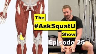 How to Fix Quad amp Patellar Tendon Pain AskSquatU Show Ep 25 [upl. by Eiram]