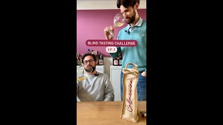 Blind Tasting Challenge  Ep 3 [upl. by Nesyt]