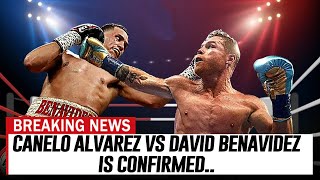 MAURICIO SULIAMON Says Canelo Alvarez vs David Benavidez is Confirmed [upl. by Yeh]