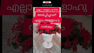 സമദാനിഅള്ളാഹുവിൽ എല്ലാം അർപ്പിച്ചവന് എല്ലാം അള്ളാഹു നൽകും [upl. by Ellerehs]