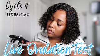 TTC UPDATE MORE OVULATION TESTING  CYCLE DAY 1011 OPK TEST  TTC JOURNEY FOR BABY 2 [upl. by Magnusson]