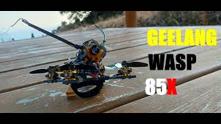 GEELANG WASP 85X 20220205 [upl. by Selyn]