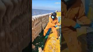 Thick Layer Of Salt in Ship StreeR Bangla facts shorts amazing [upl. by Pears988]