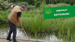 Unkrautentfernung 🌱🛠️ auf wassergebundenen Wegedecken [upl. by Refotsirc]