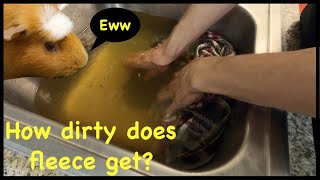 Washing guinea pig fleece in the sink  Cage cleaning routine [upl. by Akihsar]