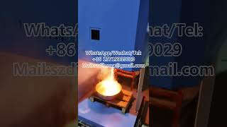 800 degree high temperature electric furnace glass melting and drying furnace [upl. by Zurek]