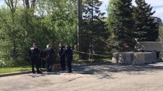 Pittsfield Police Investigate Body Found [upl. by Suez690]