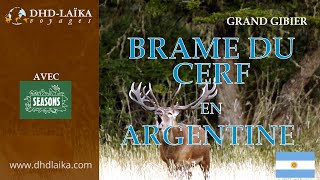 Brame du Cerf en Argentine [upl. by Scotty]