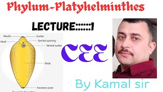 Phylum Platyhelminthes  Cee zoology by Kamal Nepal sir with best note [upl. by Johppah905]