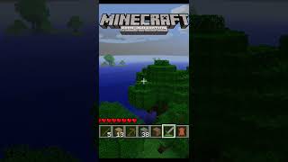 Minecraft 360° gaming minecraft gameplay [upl. by Eeldivad]