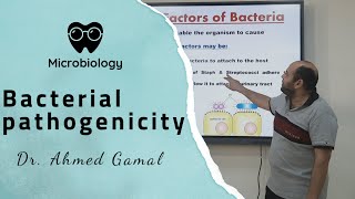 microbiology  Bacterial pathogenicity  DrAhmed gamal  BSNU [upl. by Martres]