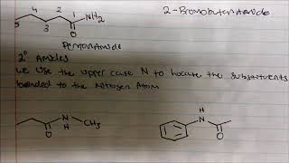 Naming Amides Primary Secondary amp Tertiary Amides [upl. by Deloris]