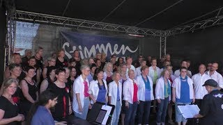 StimmenFestival quotLörrach singtquot 2019  Kurzreportage 29062019 [upl. by Aiekal]