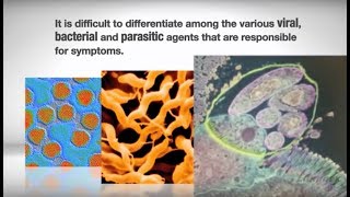 xTAG® Gastrointestinal Pathogen Panel GPP Introduction [upl. by Irrehs310]