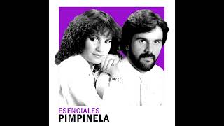 Pimpinela  A Esa Karaoke [upl. by Glass694]