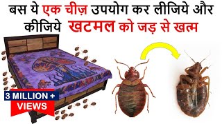 एक ही बार में जड़ से ख़त्म करे खटमल को इस अचूक उपाय से How To Get Rid of Bed Bugs bed bugs खटमल [upl. by Kutchins]