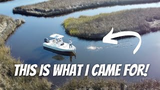 I Took My 22ft Bay Boat In This Tiny Saltwater Creek For NONSTOP ACTION [upl. by Anowahs]