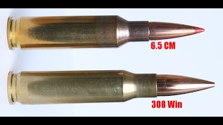 Can The 65 Creedmoor Replace the 308 Win As A SHTF Cartridge [upl. by Atteuqcaj]