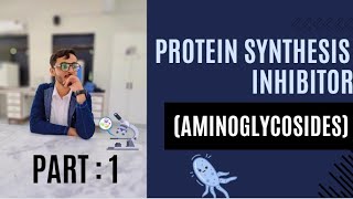 Aminoglycoside and its classification part 1 detail leacture pharmacology lippincott [upl. by Hayward]