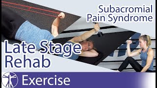 Subacromial Pain Syndrome SAPS  Late Phase Eccentric Rehab [upl. by Dorothea]