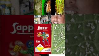 Indofill Sapper insecticideSapper insecticideIndofillinsecticideinsecticideinsecticideshorts [upl. by Prochoras779]