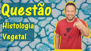 Histologia vegetal  Questão  Tecidos Vegetais  Botânica [upl. by Icart338]