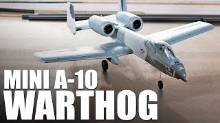 EFlite UMX A10 Warthog  REVIEW [upl. by Waynant]