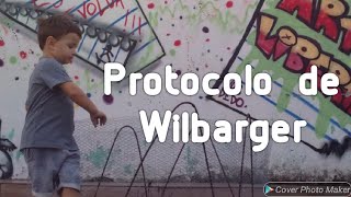 Autismo Protocolo de Wilbarger [upl. by Shadow5]