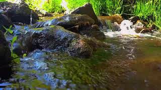 Soothing Relaxation Soothing Piano Music amp Water Sounds for Sleep MeditationSpa amp Yogajazz 679 [upl. by Dwinnell]