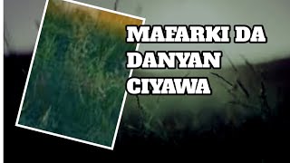 Mafarkin Danyen ciyawa [upl. by Thorn96]