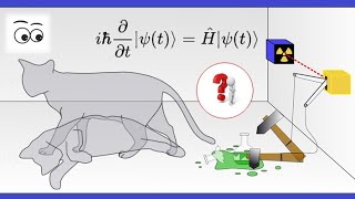 Ucciderò il gatto di Schrödinger [upl. by Adile]