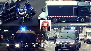 La Gendarmerie compilation  French Gendarmes Responding [upl. by Eyatnod752]