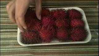 Rambutan Eating and Removing the Seeds [upl. by Aseela]