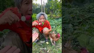 makan permen bareng ayam funny grandma homeless [upl. by Chelsey]