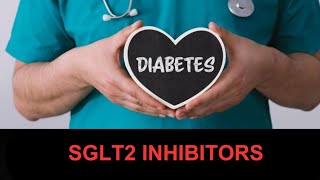 SGLT2 Inhibitors II Empagliflozin II Dapagliflozin II Canagliflozin II [upl. by Stefanie886]