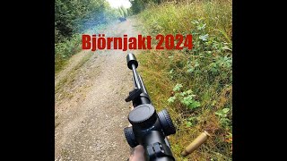 Björnjakt 2024 [upl. by Soo]