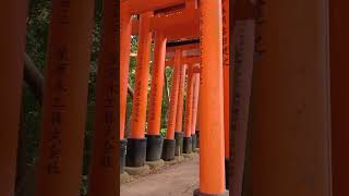 Fushimi Inari in Kyoto japantravel [upl. by Uot]