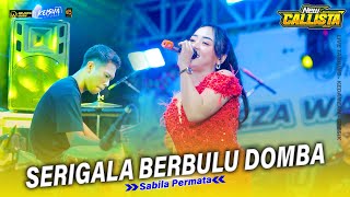 SERIGALA BERBULU DOMBA  Sabila Permata NEW CALLISTA Ft  FARIS KENDANG  The Wedding REZA amp AYUNDA [upl. by Krum753]