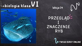 Biologia klasa 6 Lekcja 14  Przegląd i znaczenie ryb [upl. by Acherman386]