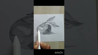 Pencil shading drawing easydrawing art easydrawing fruitdrawing [upl. by Volny]