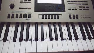 Mere Rashke Qamar on Keyboard  Casio  Piano tutorial [upl. by Wales]