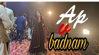 Ap v badnam hoya song Gulaab  New saraiki song 2024 [upl. by Eitsirc]