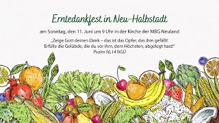 Erntedankfest in NeuHalbstadt am 11 Juni 2023 [upl. by Arther]