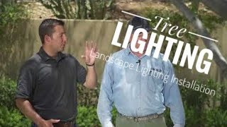 Landscape Lighting Installation  Tree Lighting Tips [upl. by Larok61]