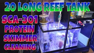 How to setup a 20 gallon long reef tank SCA301 Protein Skimmer cleaning [upl. by Huai195]