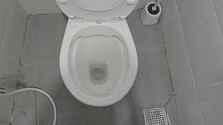 CCPB 2023 Reign Rimless toilet [upl. by Akere45]