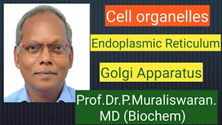 ER amp GA Muralis Simplified Biochemistry [upl. by Ojaras]