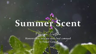 Sweet summer scent Piano Cafe in July  FLOWER COTTON [upl. by Nwahsirhc]